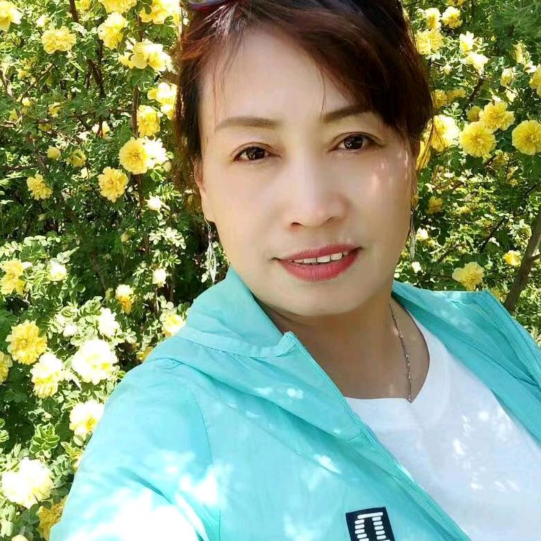 蒲公英
