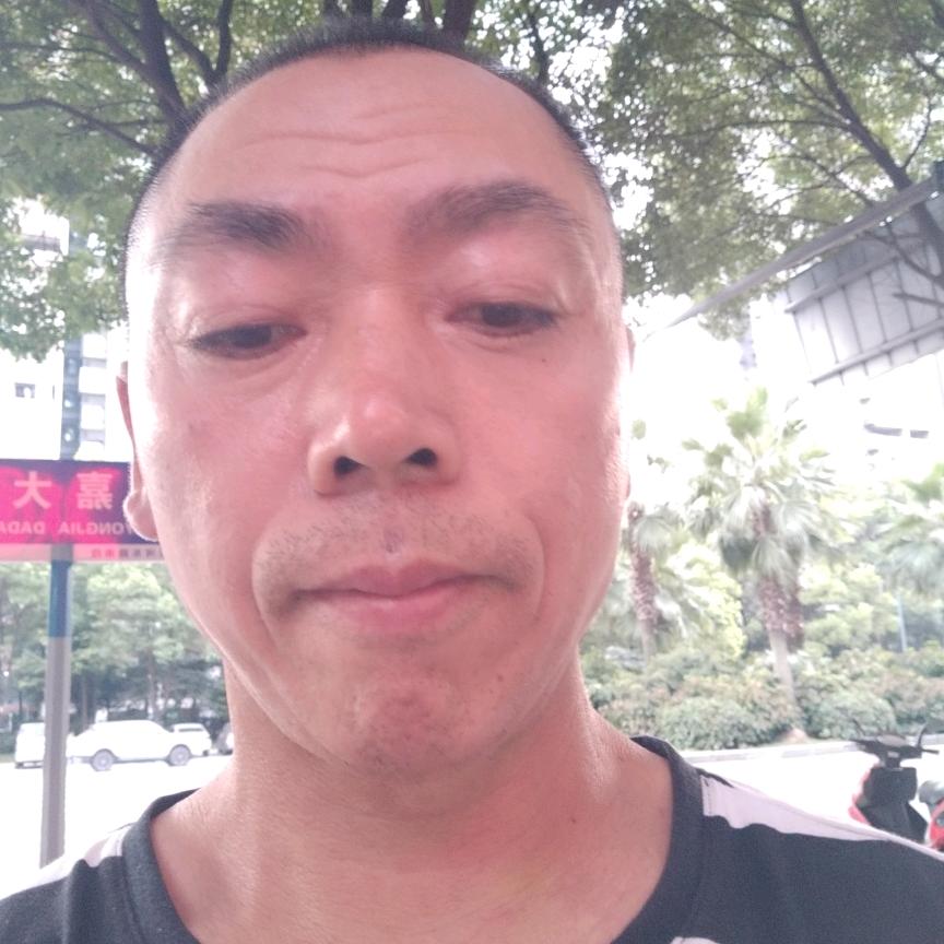 自由哥