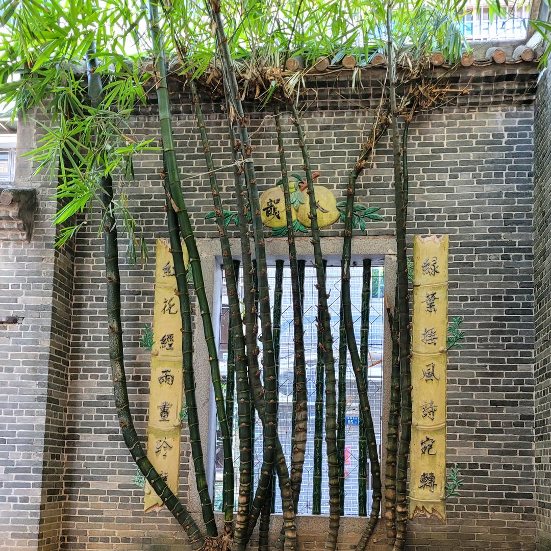 樂陽