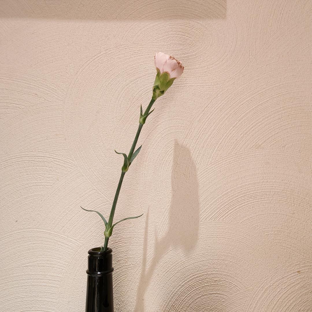繁九啊头像