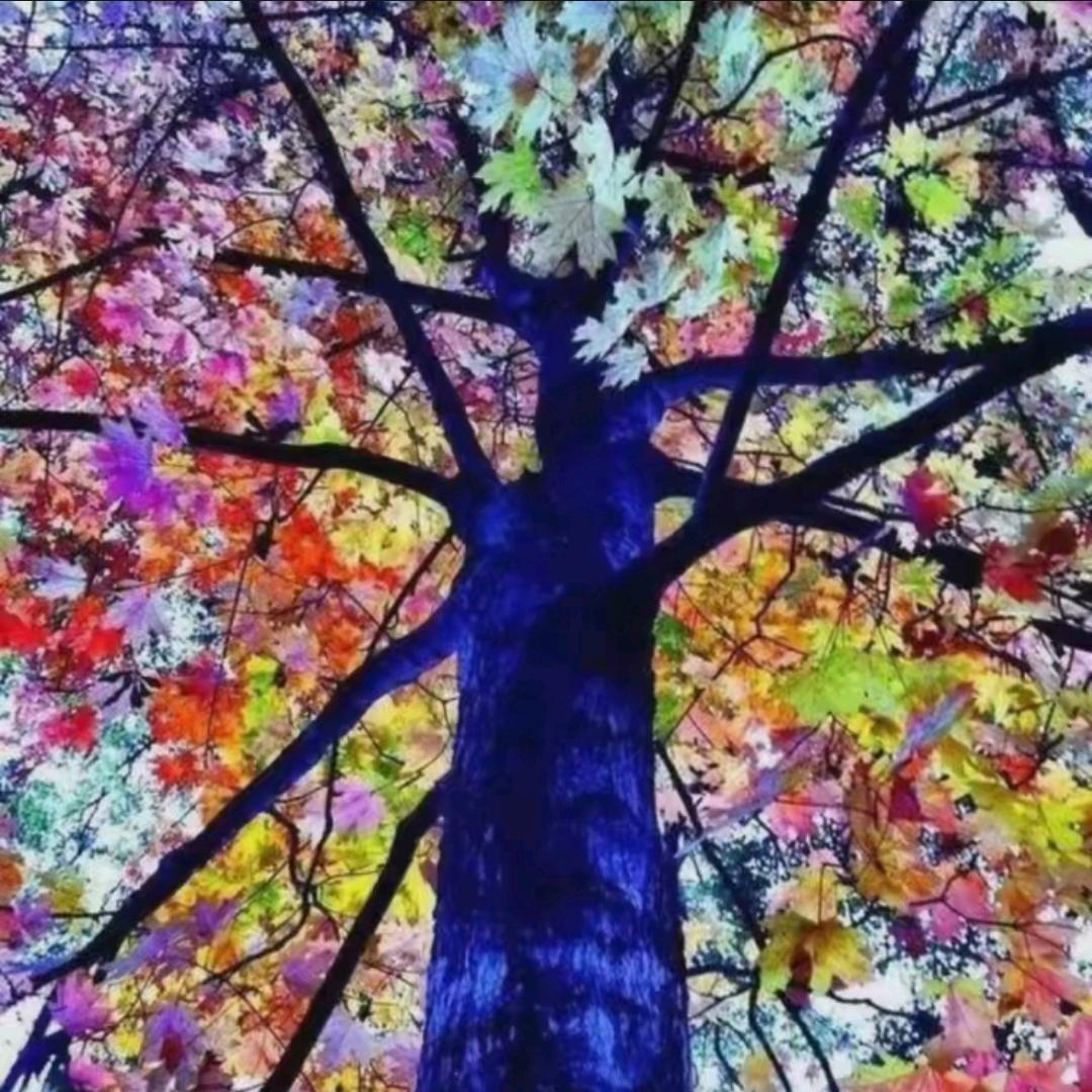 好人一生平安~