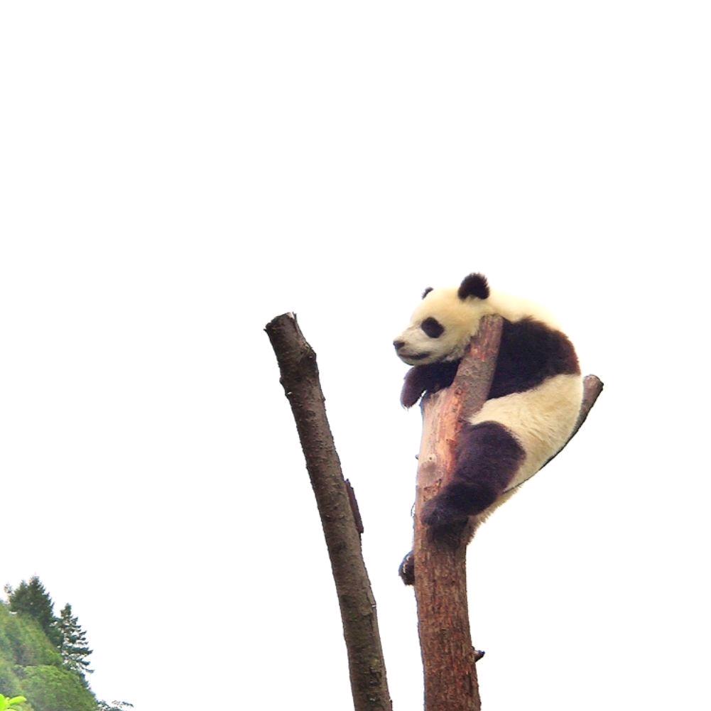 Be balance