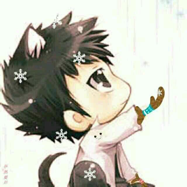 LRC头像