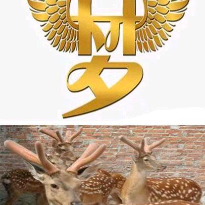 长春市起航鹿业有限责任公司企业店