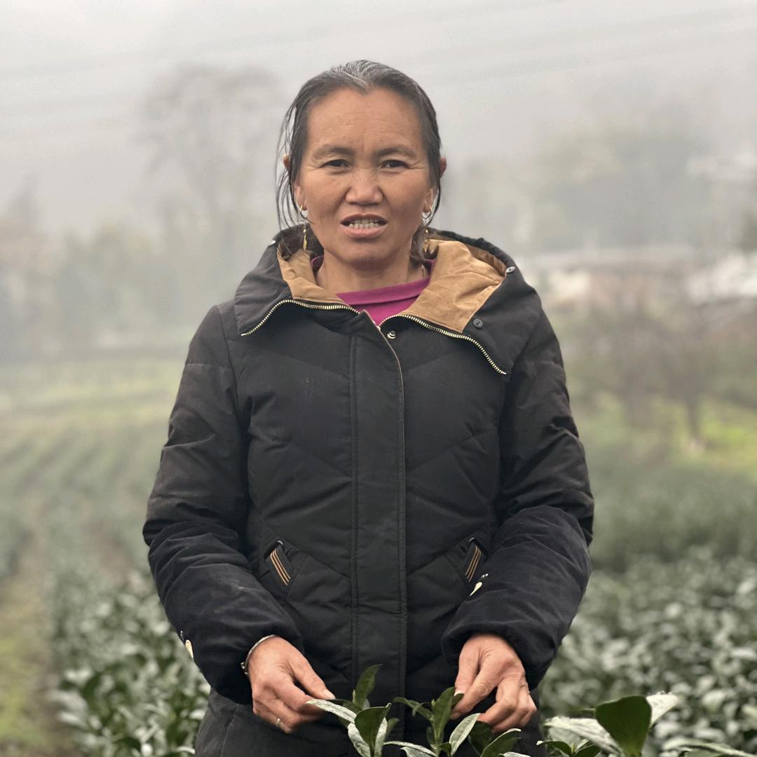 紫色，晚上8:00开播