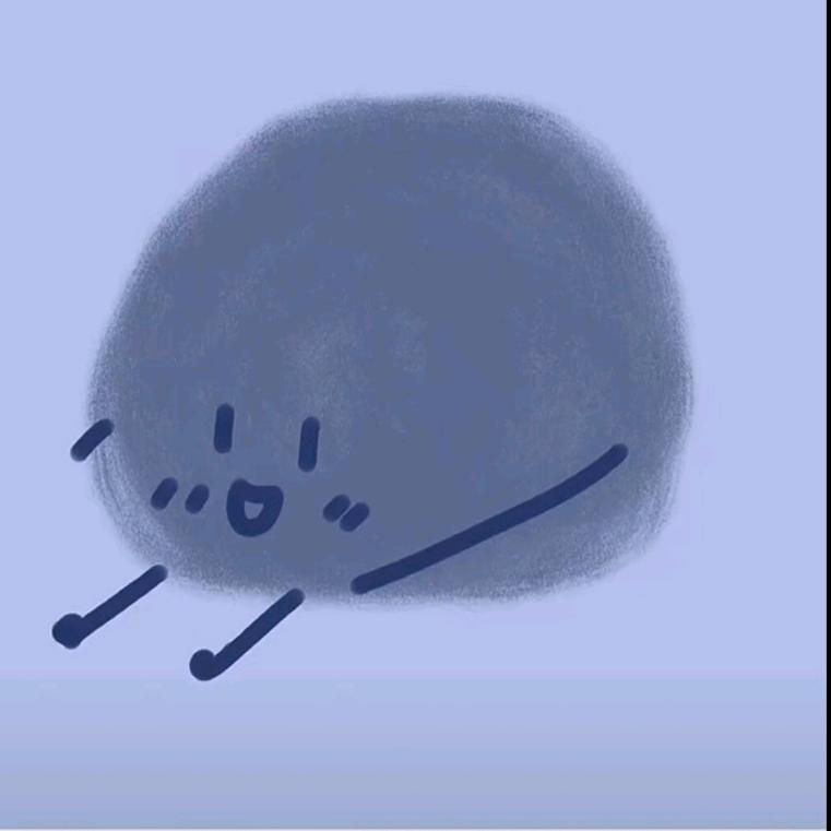 二笙.S