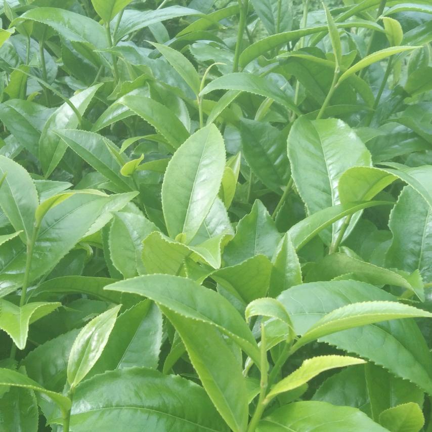 用户6834966779140顺其自然