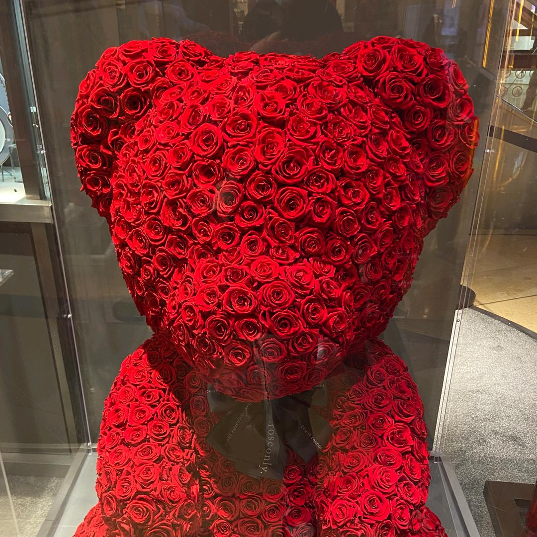 快乐的小熊(ღ˘⌣˘ღ)