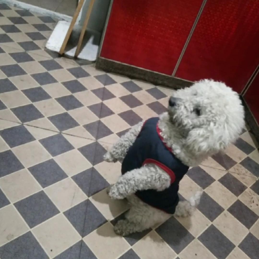 有缘人