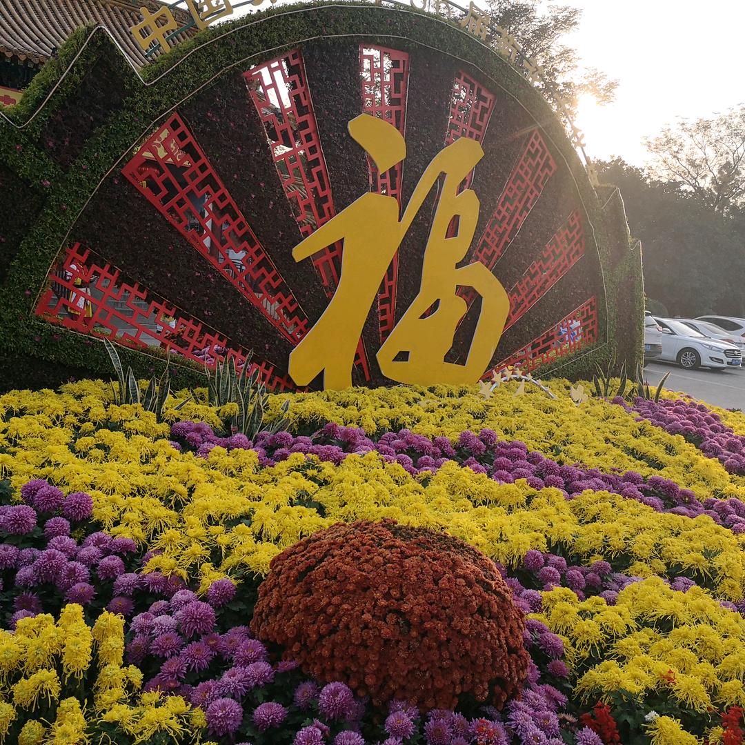 李家老五