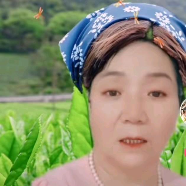 落叶归根