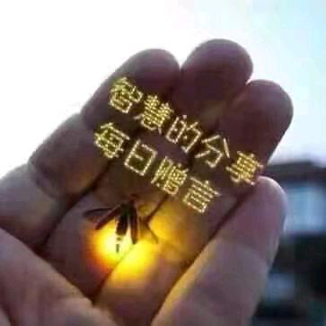 岁月征途