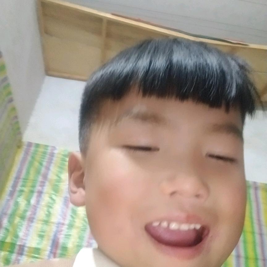 专业贴金银波