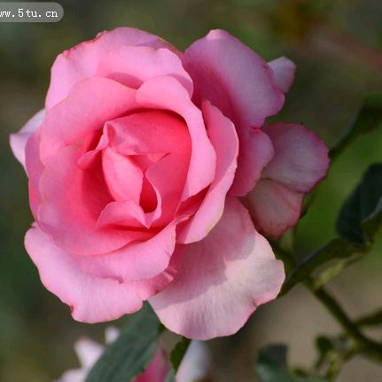 爱笑的每一天🧚‍♂️@八菇