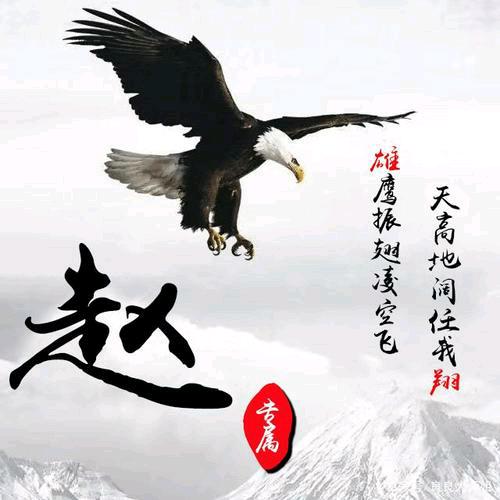 飞翔