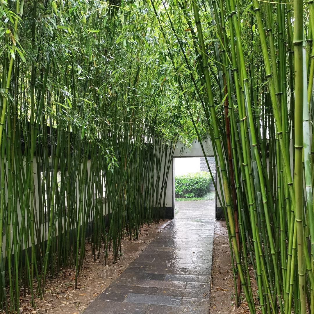 白天归顺于生活，晚上臣服于灵魂