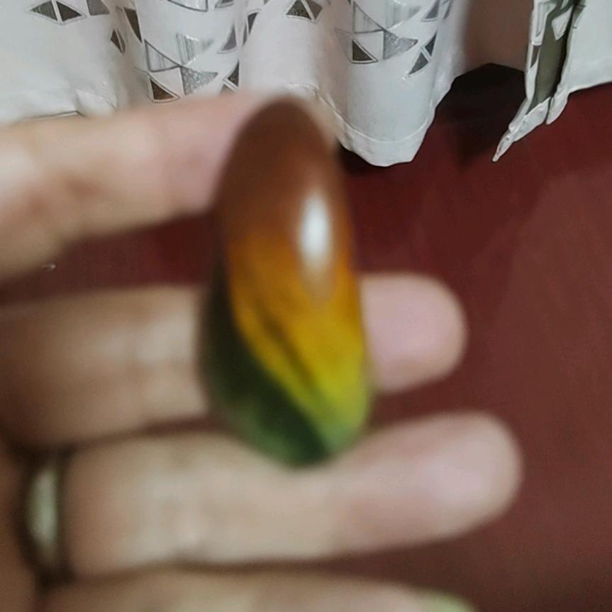 浩南哥籽玉