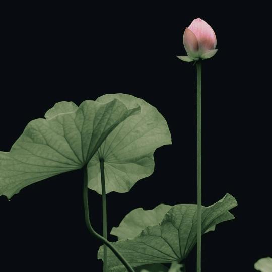 海尔，鹿安智能门锁安装，维修和销售批发