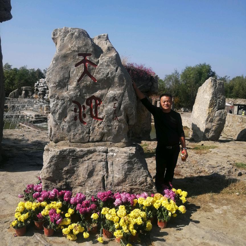 沂蒙山小叶紫薇瓜子黄杨奕锦园艺