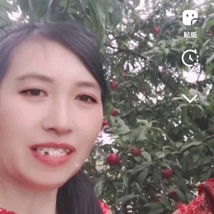 感恩的心