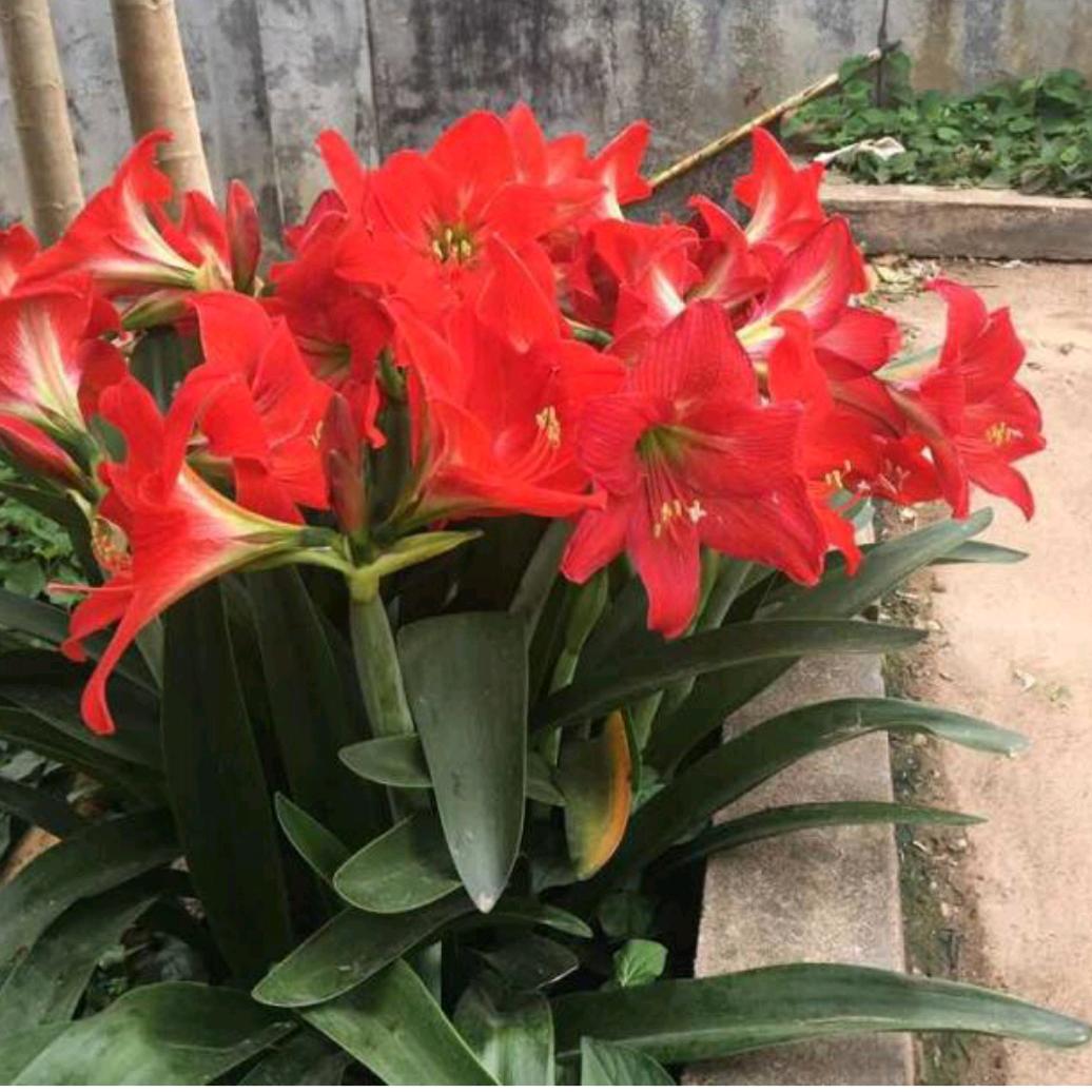 苦尽、甘自来《收徒》