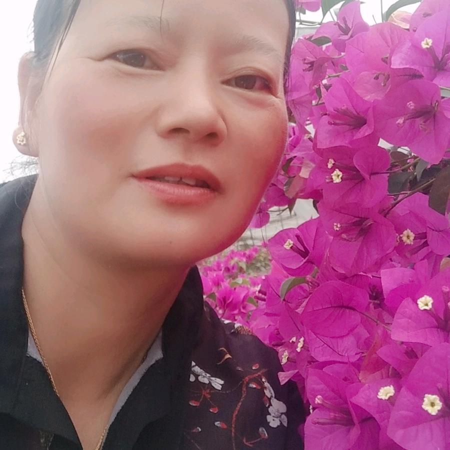 杨冬菊