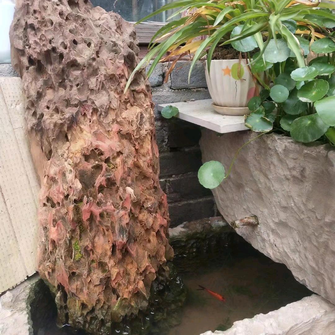 漫步花间