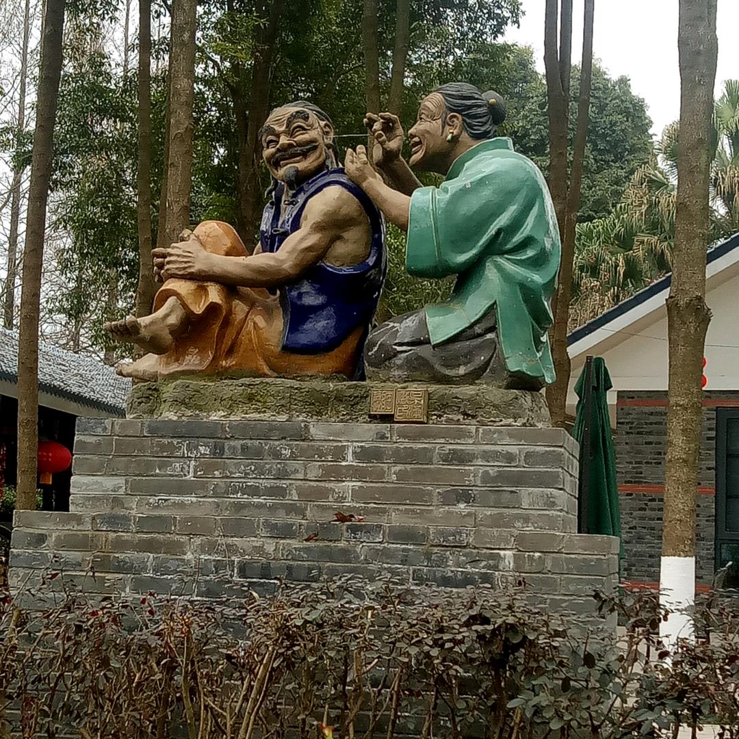 万年青