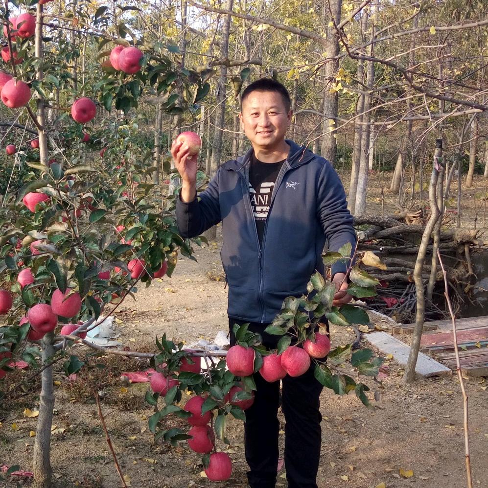 李丹