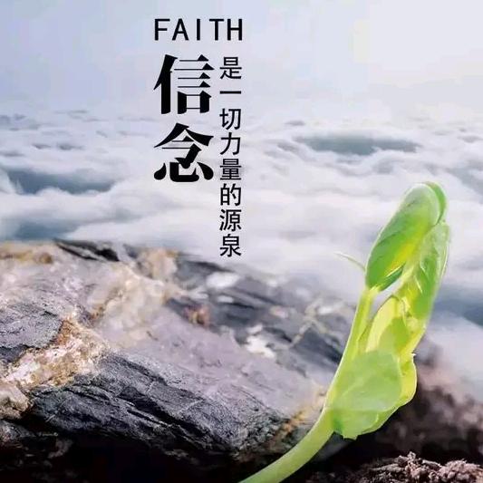 星 期  一