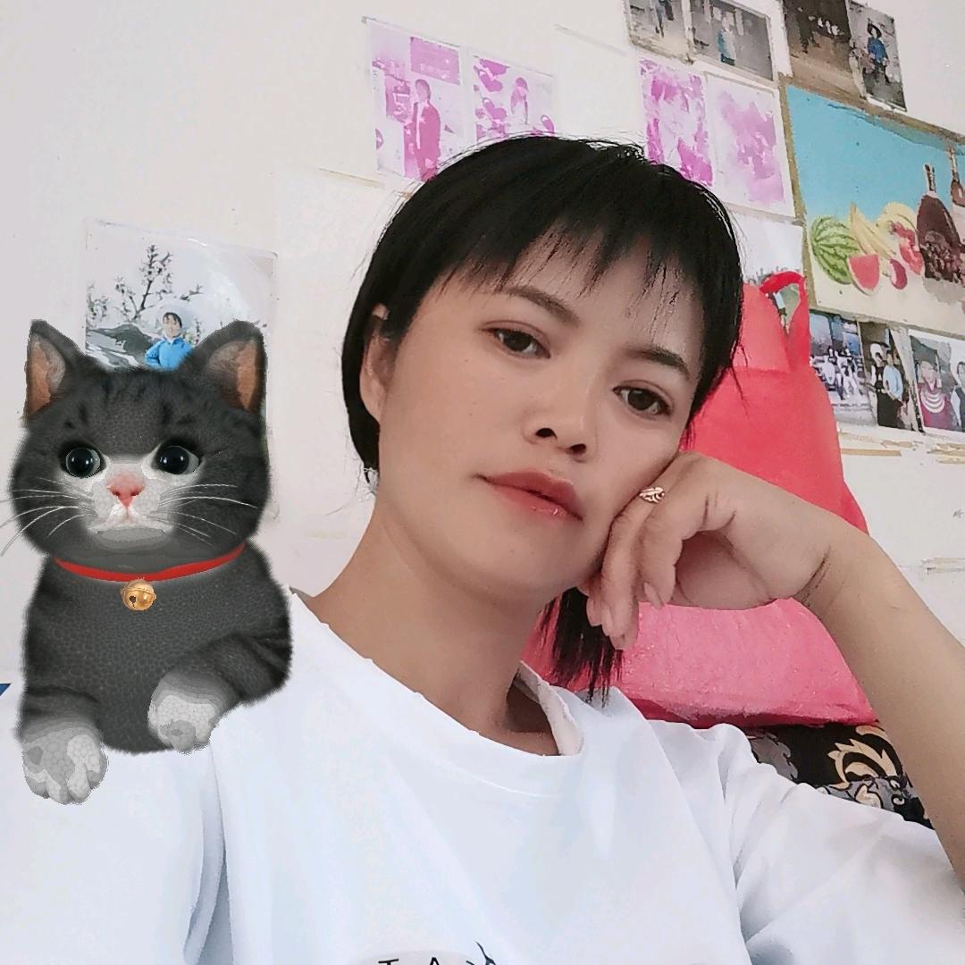 龙梦。