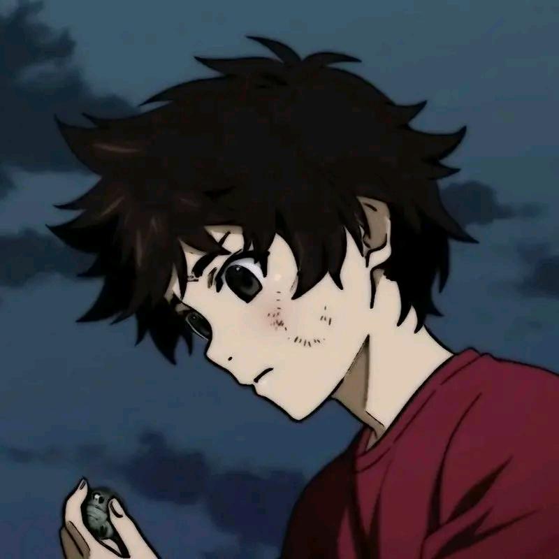 今晚又失眠啦