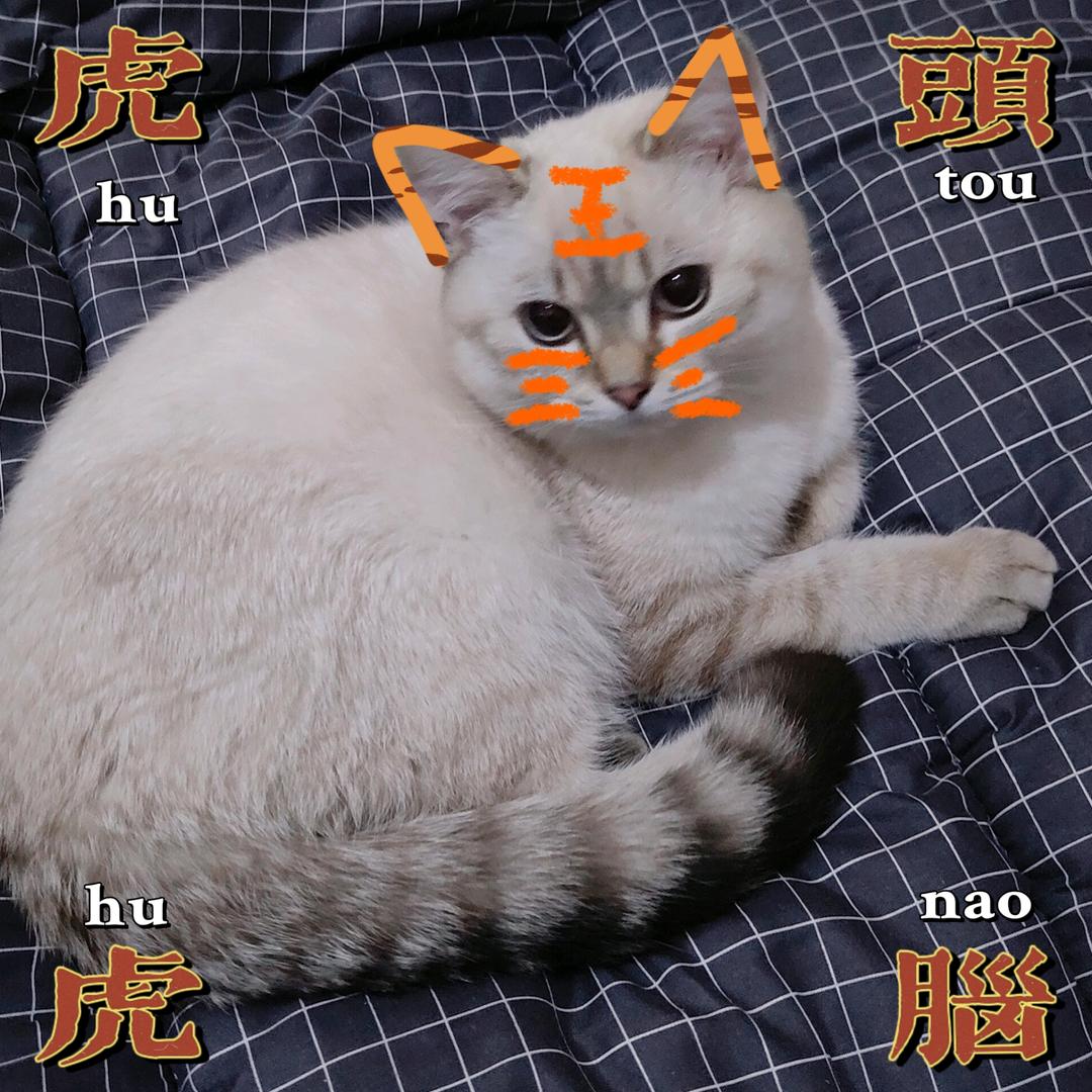 🌈怪兽小姨🍇