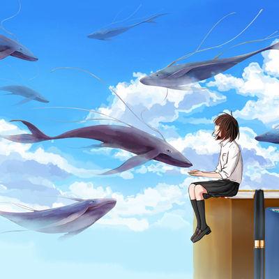 一只和平鸽🕊️