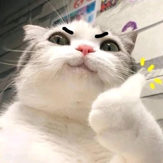 杰王子殿下
