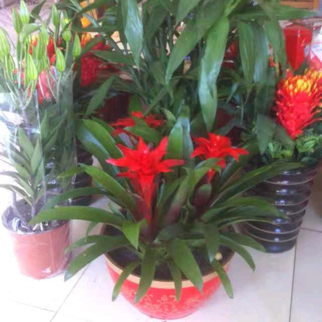 霸州市南孟镇东坨村天海建材城