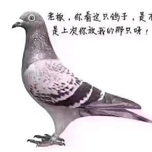 我把来生许给你