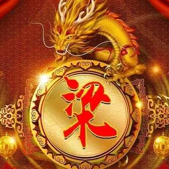 梁总