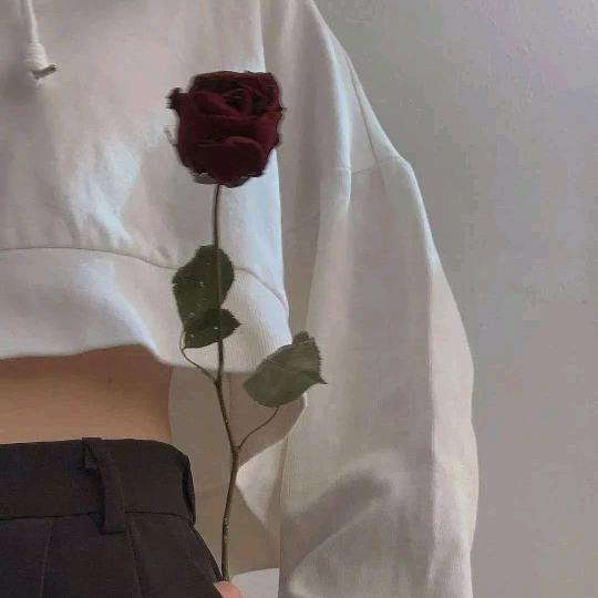 天天小游戏