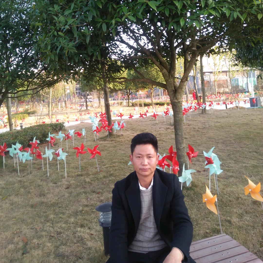 月亮代表我的心王平