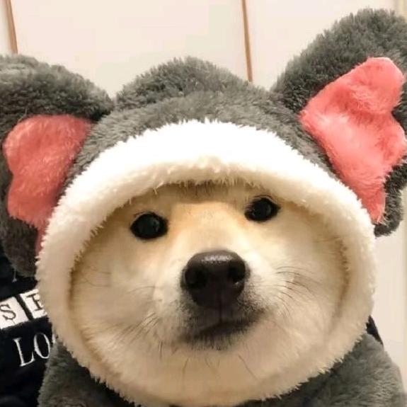 🌈🌈🌈睡大觉