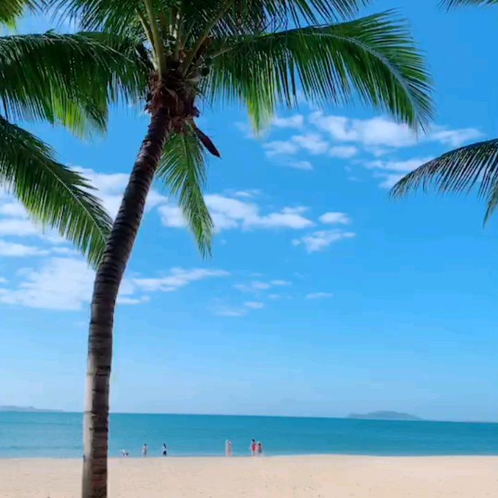 抖音用户名68585698