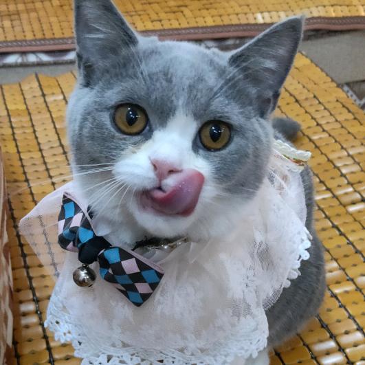 菲菲