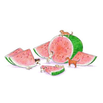 瑛子