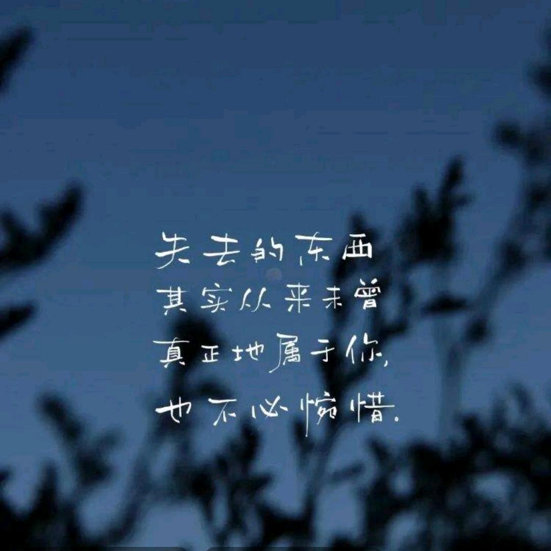 岁月静好🍀☘️🌸🌺