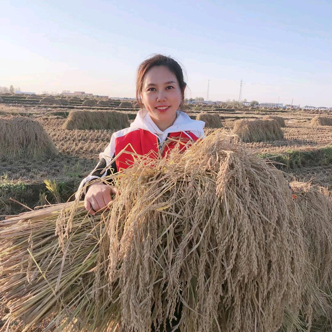 五常大米天蓝蓝