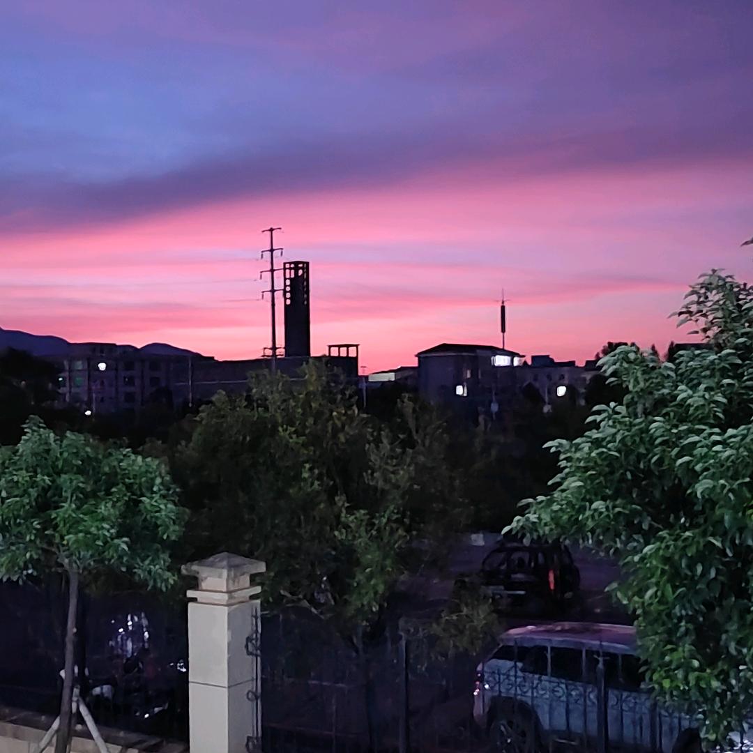 十里桃花只为你