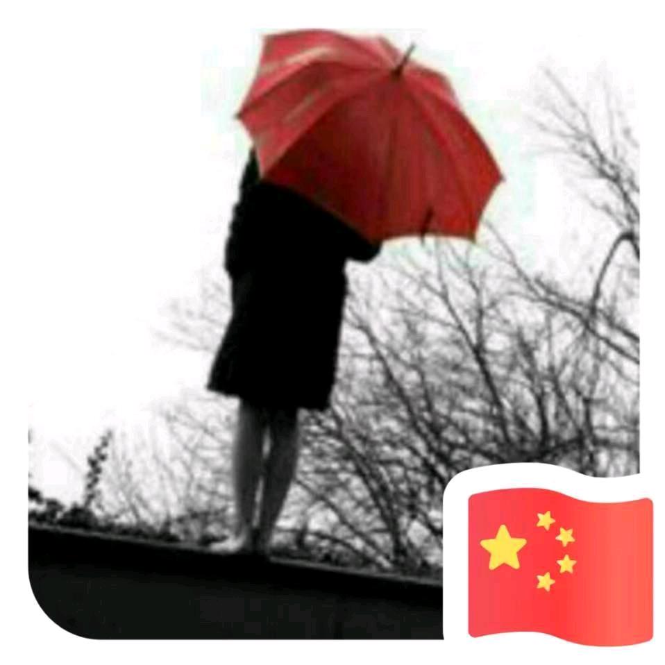 @ 燕南飞❤️（拒绝私聊）