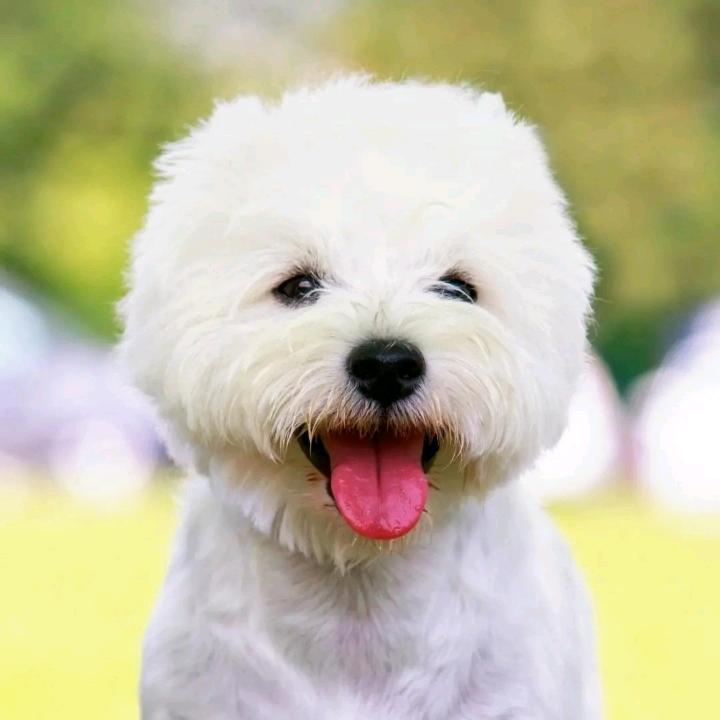笑缘ℳ💗ꦿ໊習惯ꦿ有你ꦿ¹³¹⁴