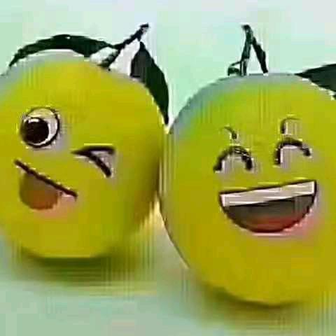 罗哥
